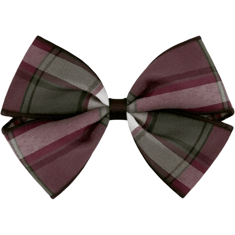 Clip Hair Bow|330 – James Plaid