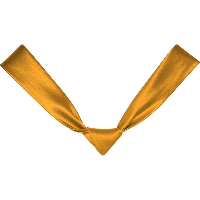 Silk Tie|148 – Gold
